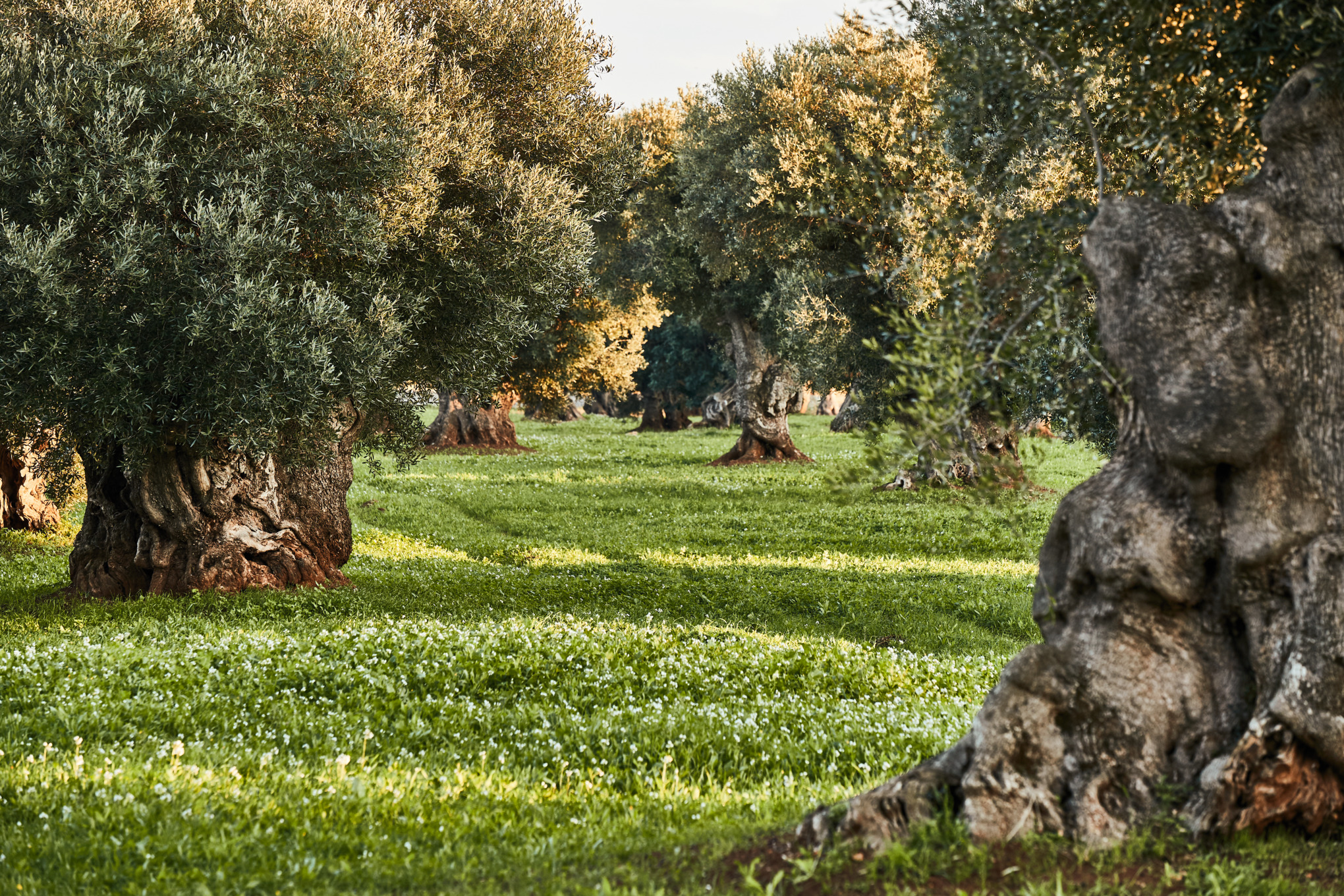 Zásady ochrany osobních údajů Dodavatelé