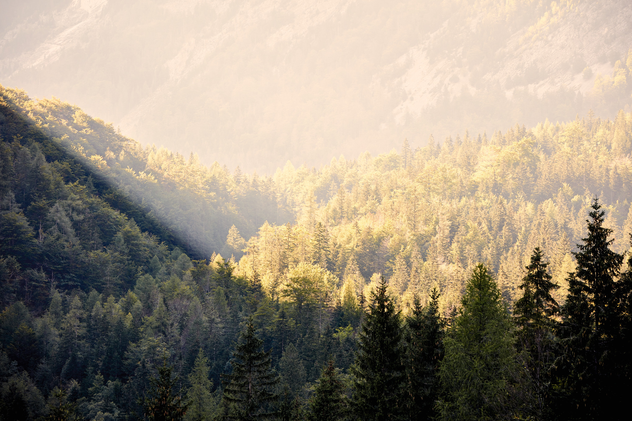 Prodejní společnosti STIHL po celém světě