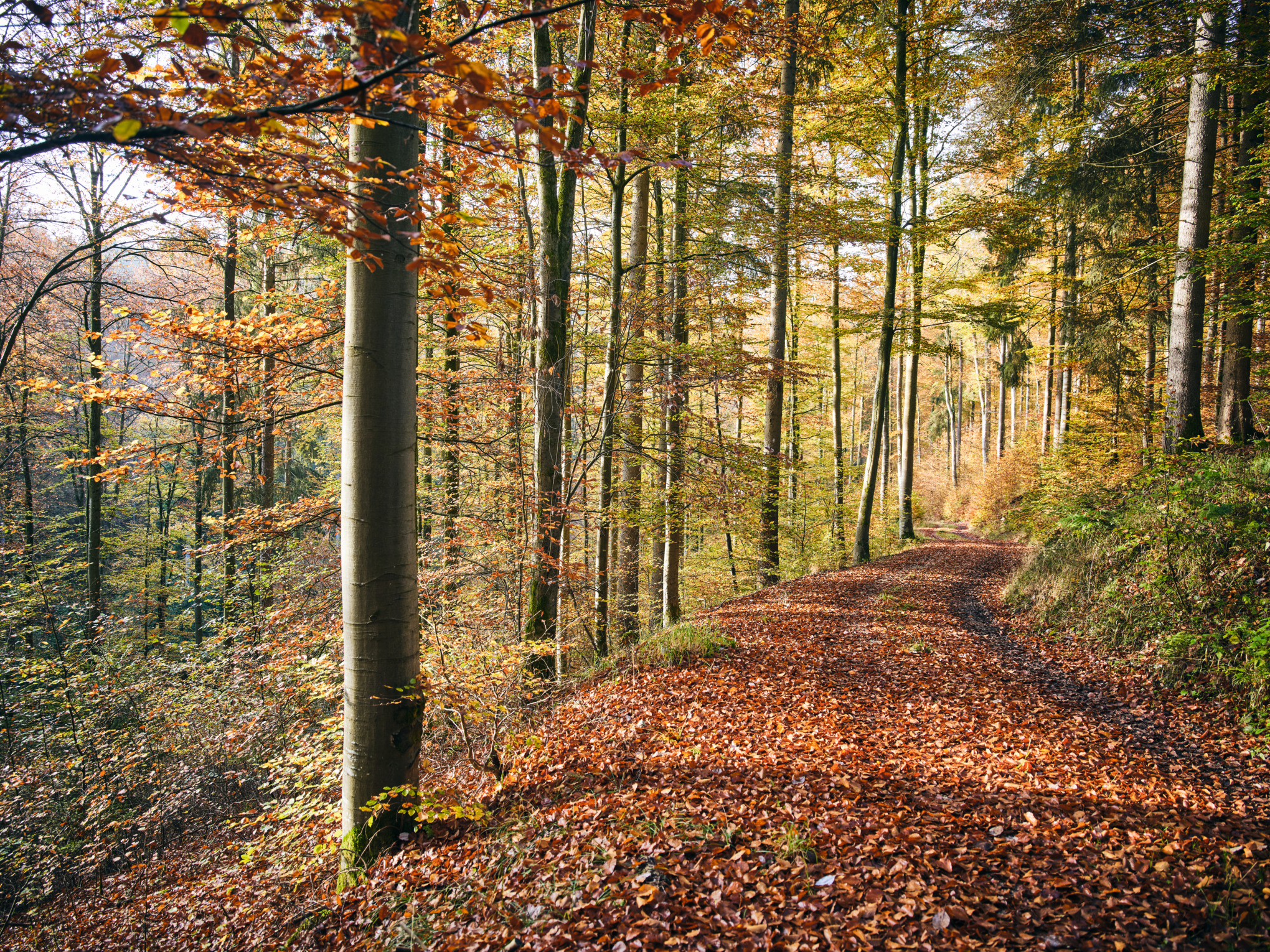 Ekonomická udržitelnost