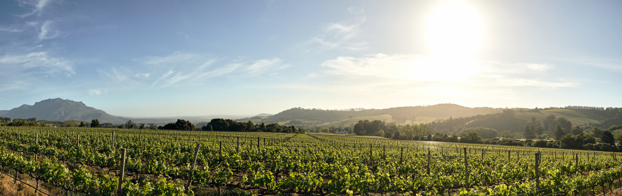 Prodejní společnosti STIHL v Africe