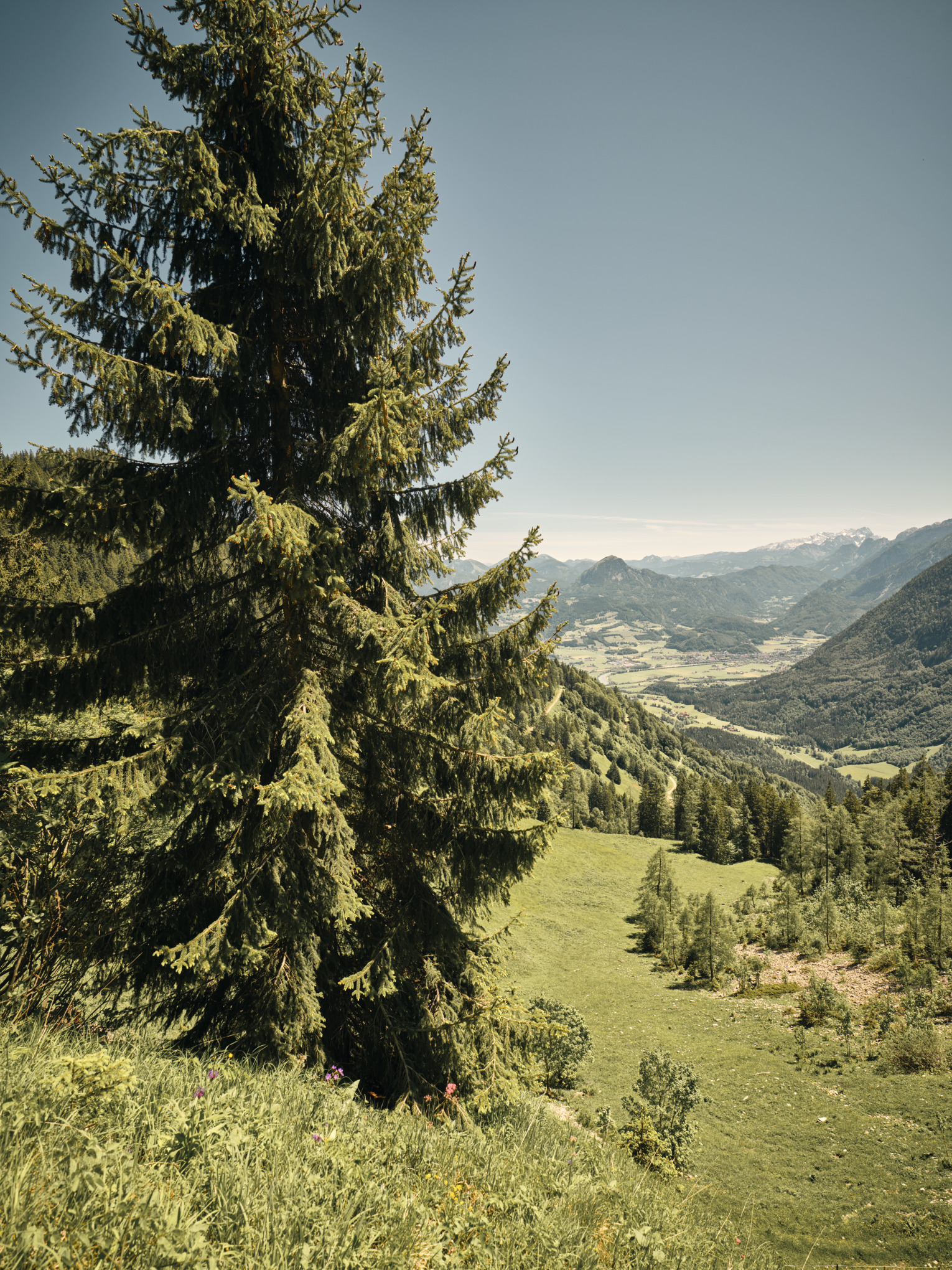 Strategie udržitelnosti