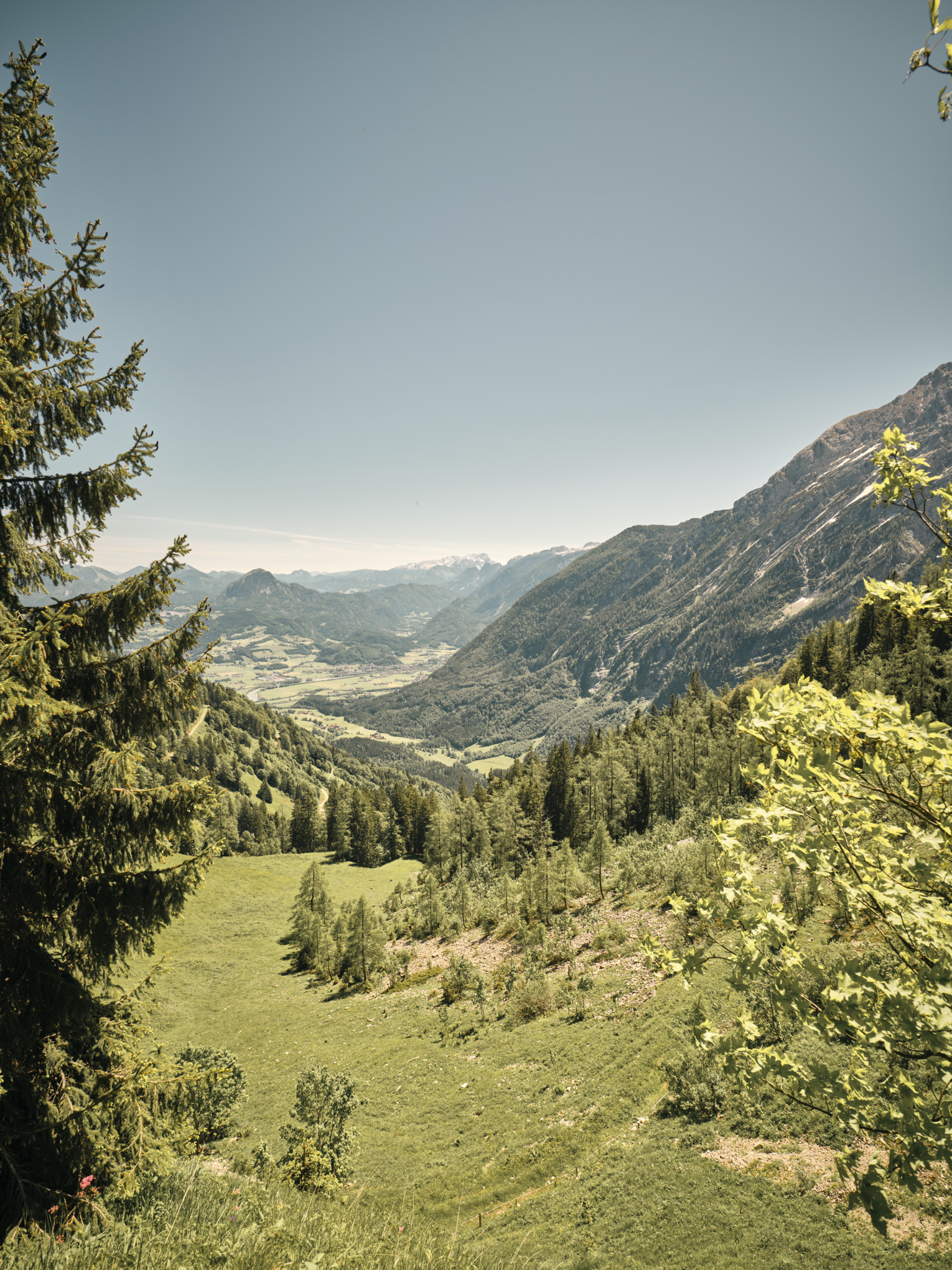 Zpráva o udržitelnosti společnosti Stihl